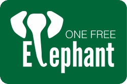 One Free Elephant Coupons & Promo codes